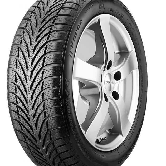 BFG G-FORCE WINTER 205/60R15 95H